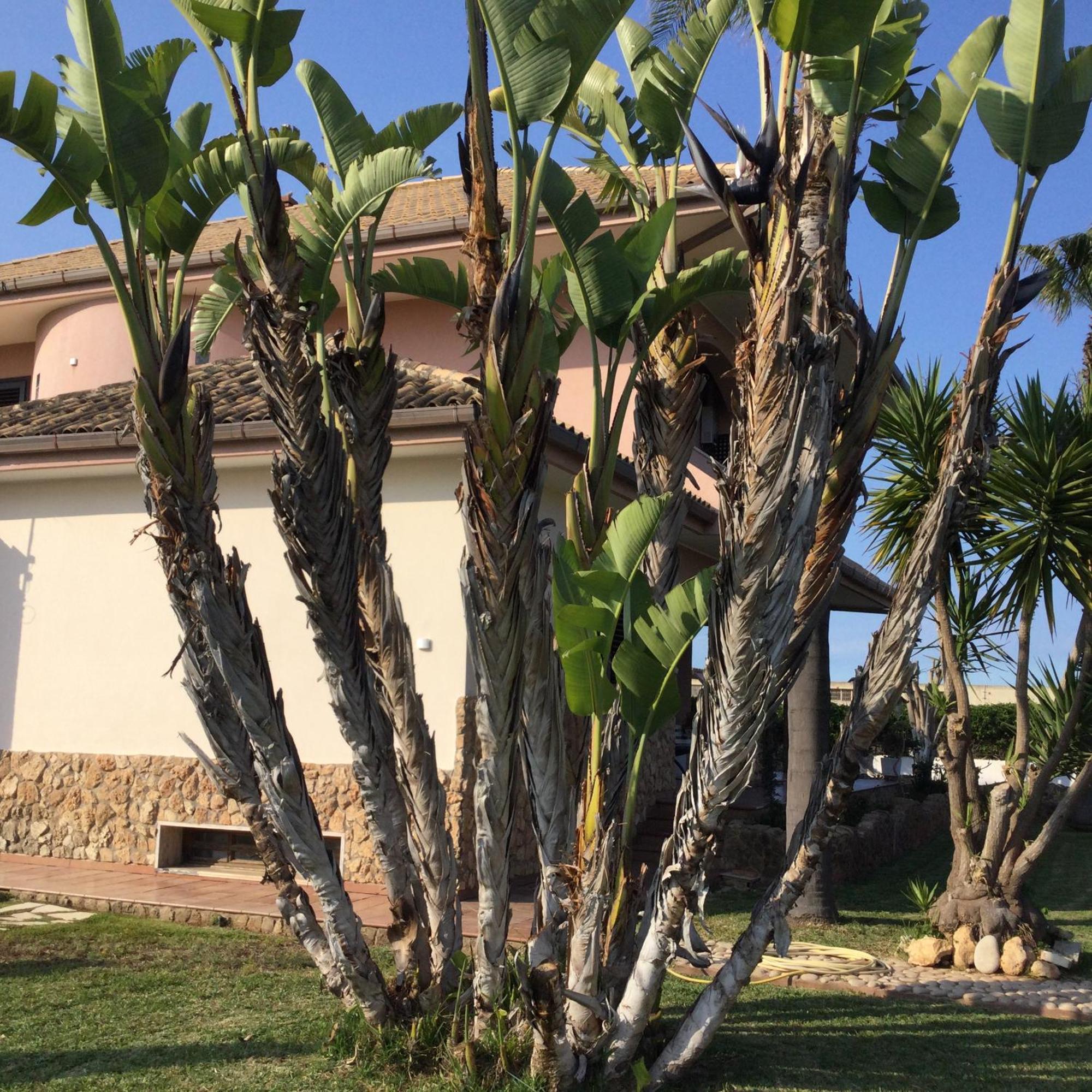 B&B Sicilia Bella Cassibile Exterior foto